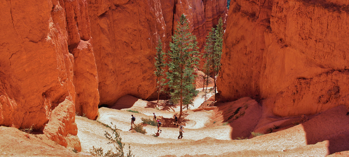 Plan Your Bryce Canyon Hike: Navajo Loop & Queens Garden Guide